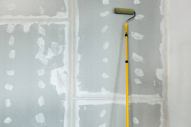 Professional Mold Removal in Warrington, FL